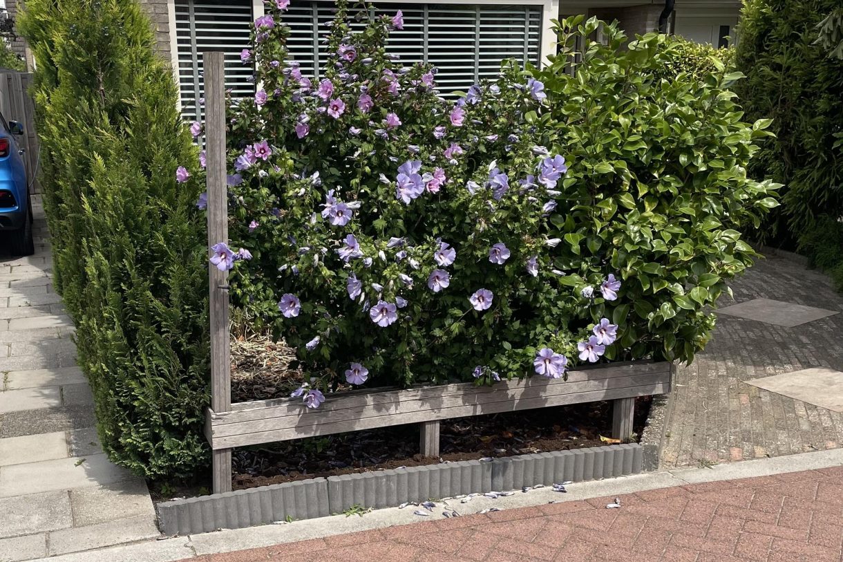 Te koop: Foto Woonhuis aan de Vlasakker 19 in Schiedam