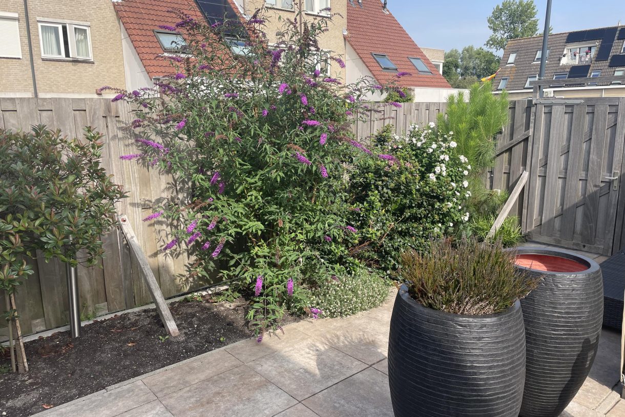 Te koop: Foto Woonhuis aan de Vlasakker 19 in Schiedam