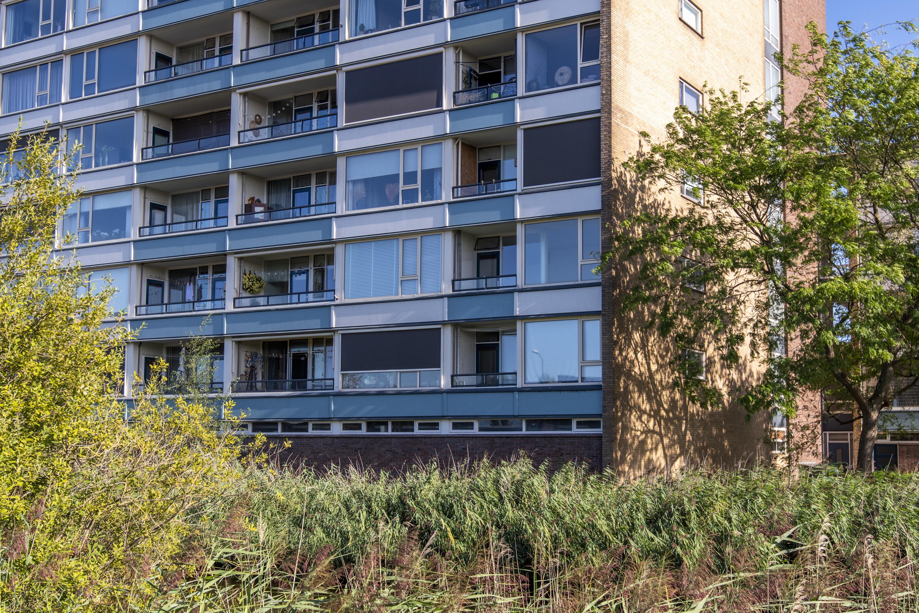 koop  Veenendaal  De Grote Pekken 502 – Foto