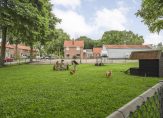 koop  Meppel  Wolddijk 6 – Foto 2