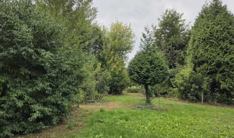 Hoofdfoto van Dreumel Oude Maasdijk 24