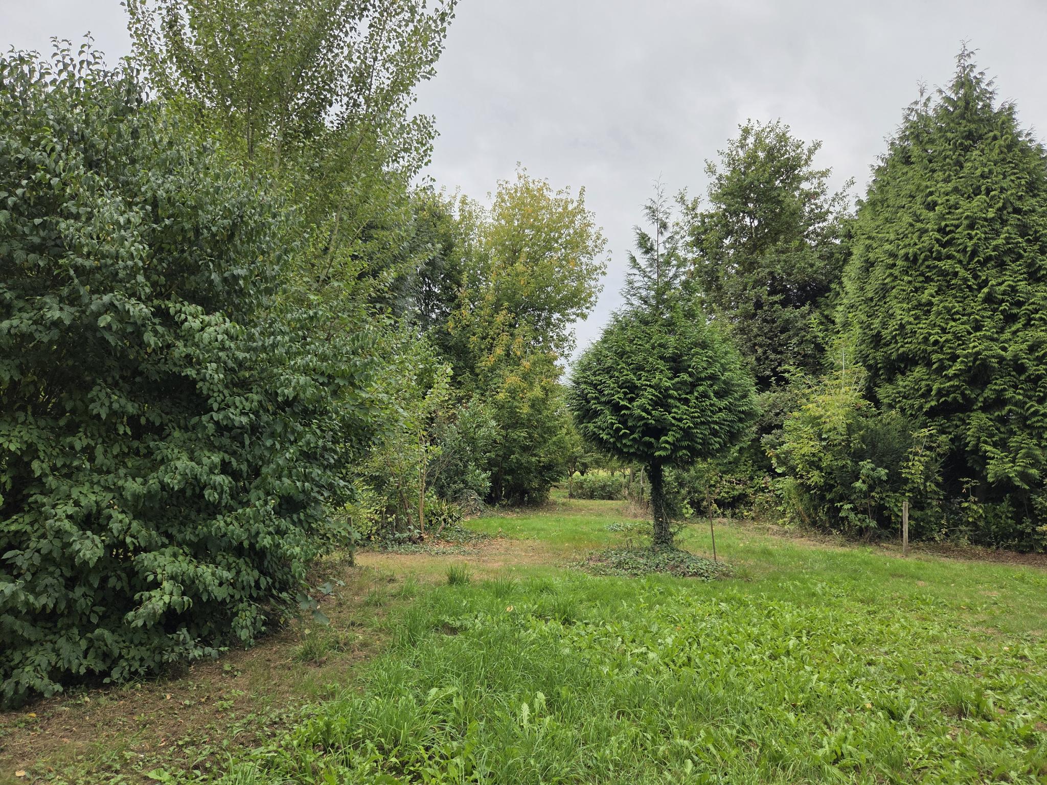 koop  Dreumel  Oude Maasdijk 24 – Hoofdfoto