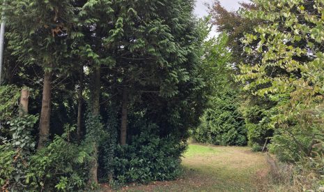 Te koop: Foto Bouwgrond aan de Oude Maasdijk 24 in Dreumel