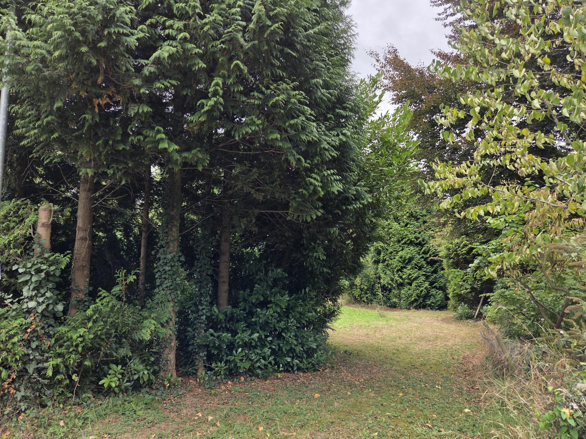 koop  Dreumel  Oude Maasdijk 24 – Foto