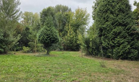 Te koop: Foto Bouwgrond aan de Oude Maasdijk 24 in Dreumel
