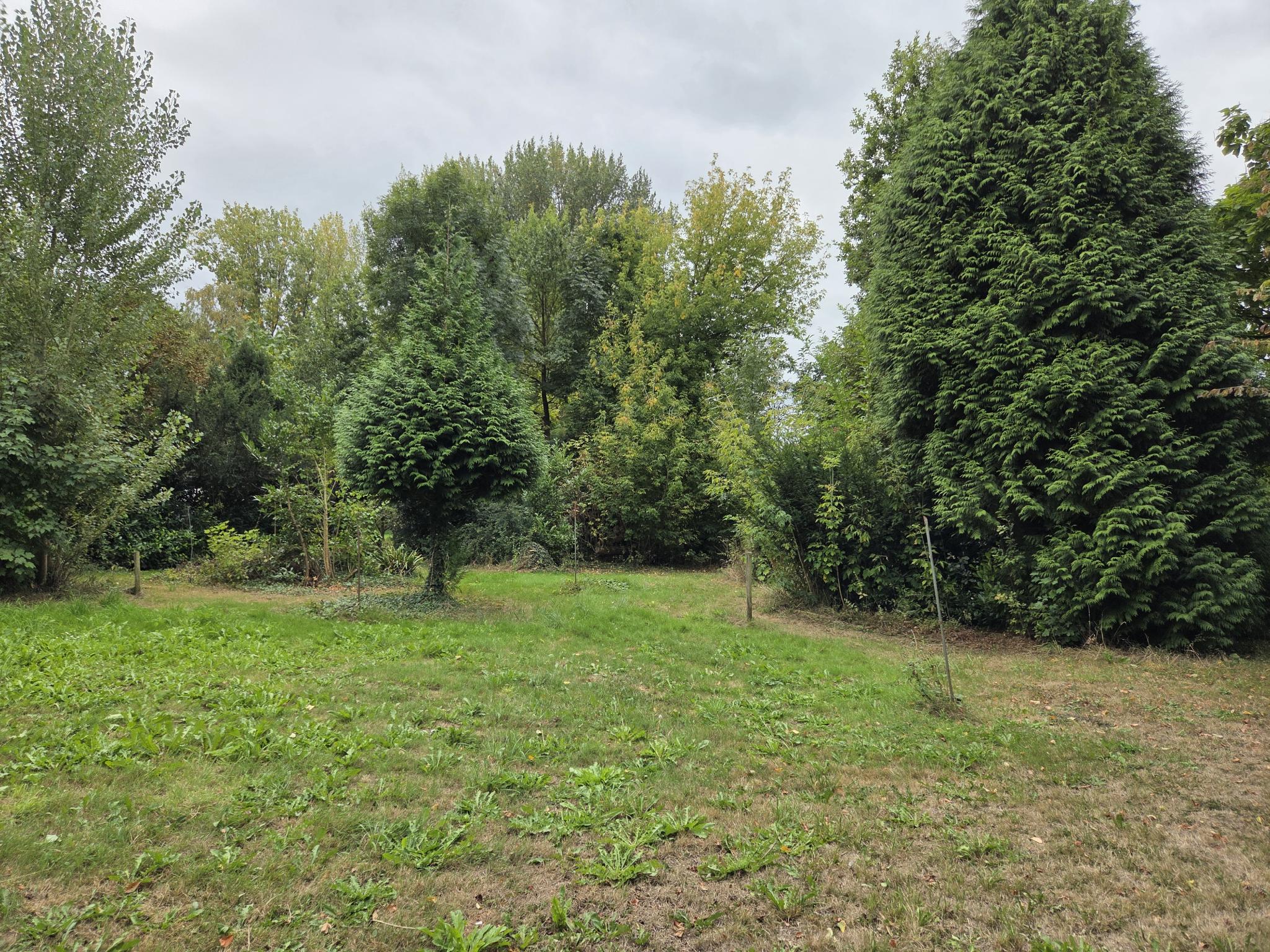 koop  Dreumel  Oude Maasdijk 24 – Foto 4