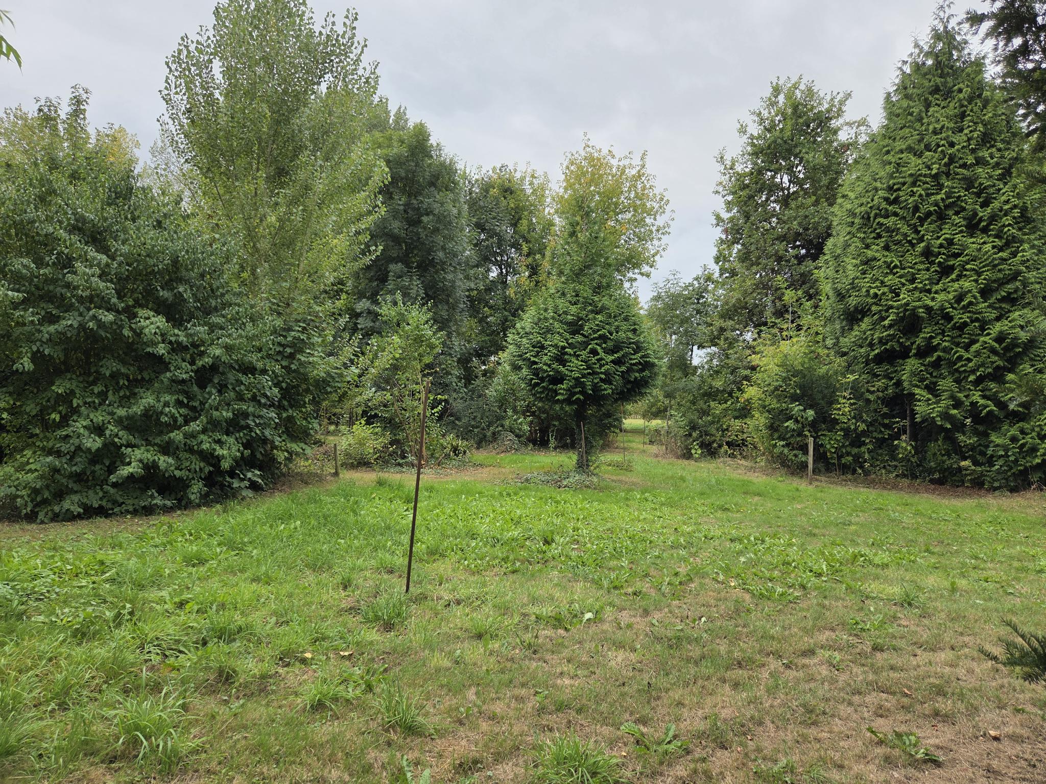 koop  Dreumel  Oude Maasdijk 24 – Foto 3