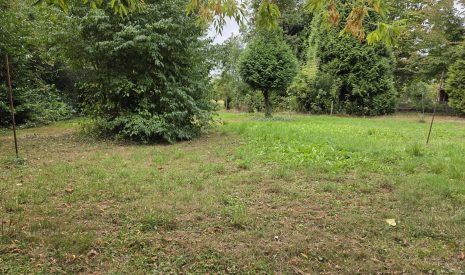 Te koop: Foto Bouwgrond aan de Oude Maasdijk 24 in Dreumel