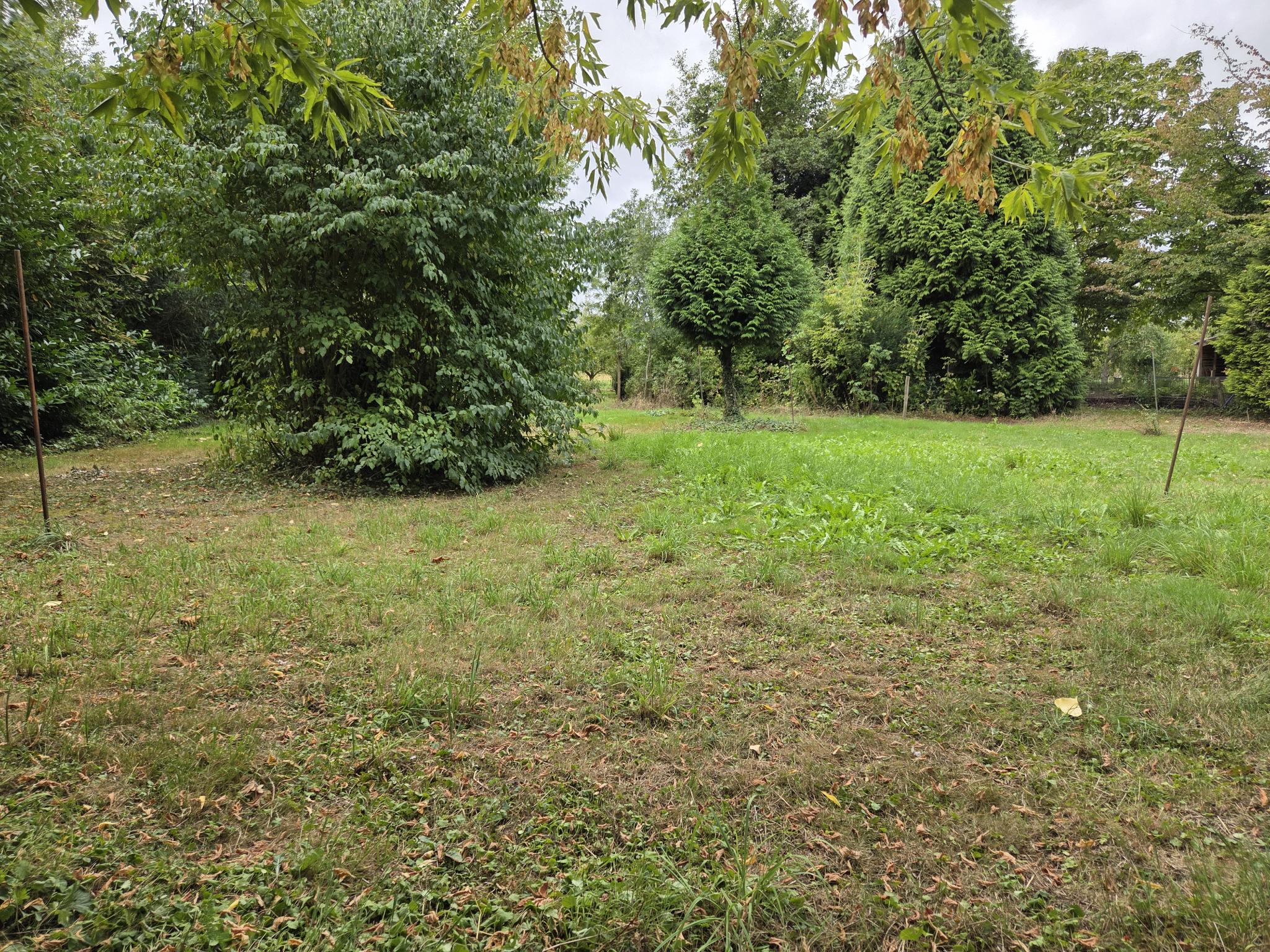 koop  Dreumel  Oude Maasdijk 24 – Foto 2