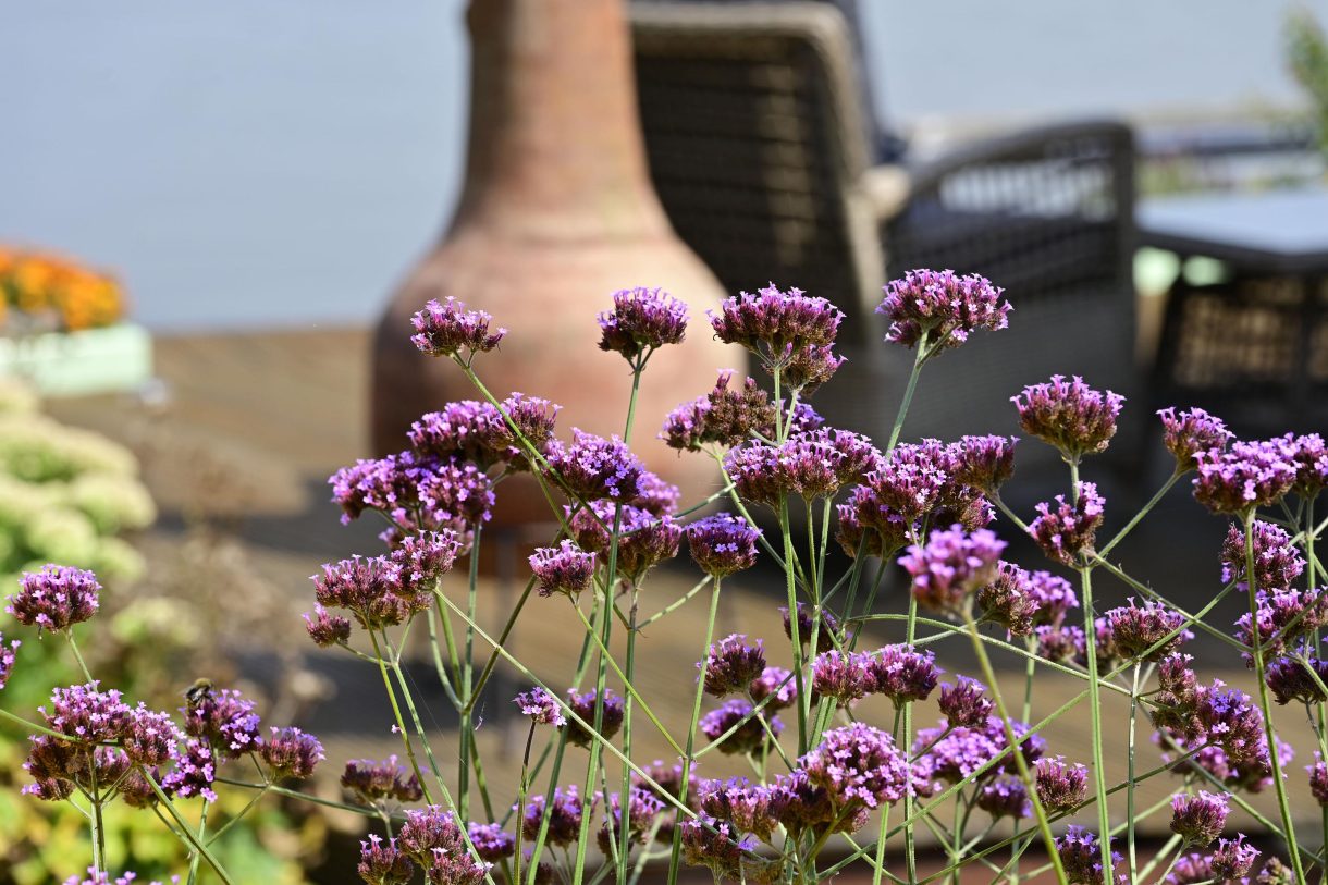 Te koop: Foto Woonhuis aan de Zuideinde 64 in Nieuwkoop