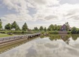 koop  Dongen  Klaproos 12 – Foto 26