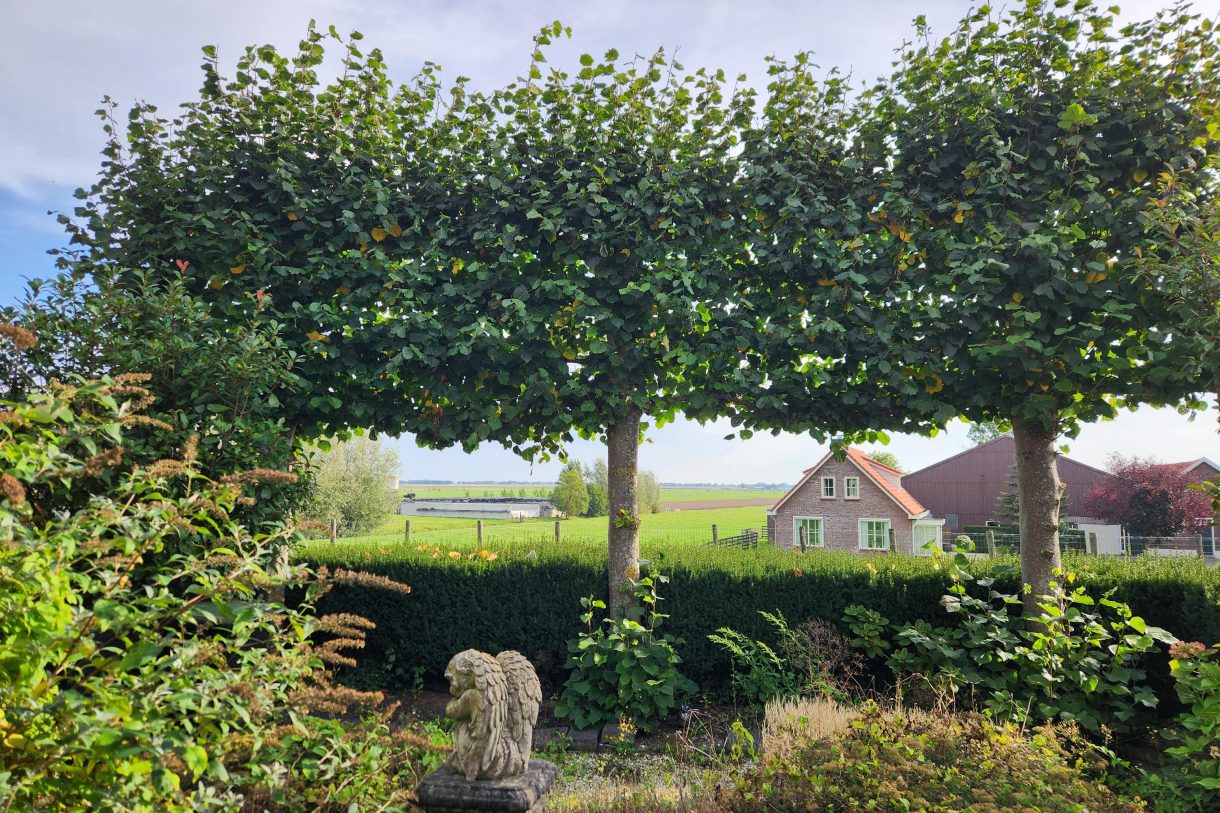 Te koop: Foto Woonhuis aan de Boddens Hosangweg 22 in Woubrugge