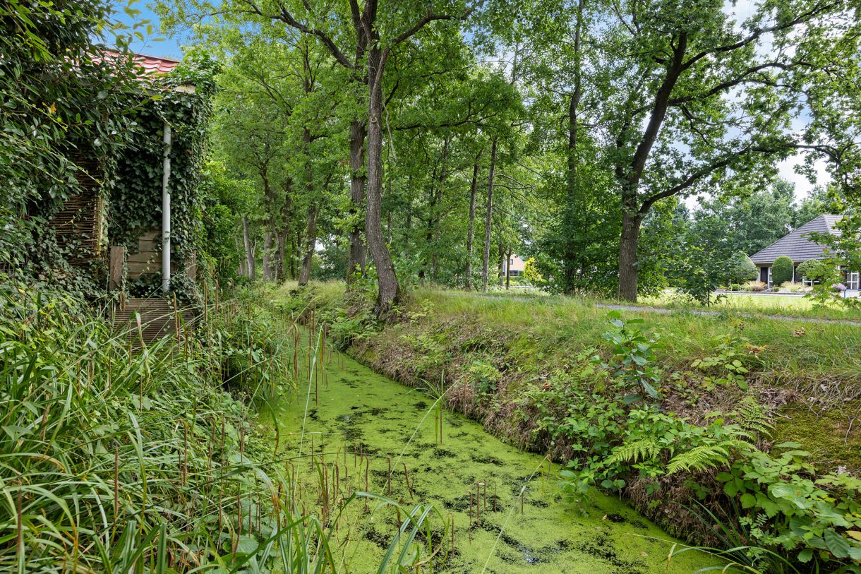 Te koop: Foto Woonhuis aan de Rietpol 20 in Drachten