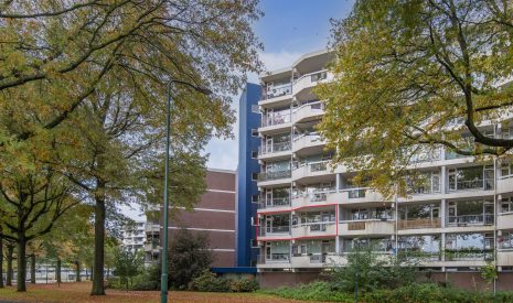 Hoofdfoto van Veenendaal Pollux 113