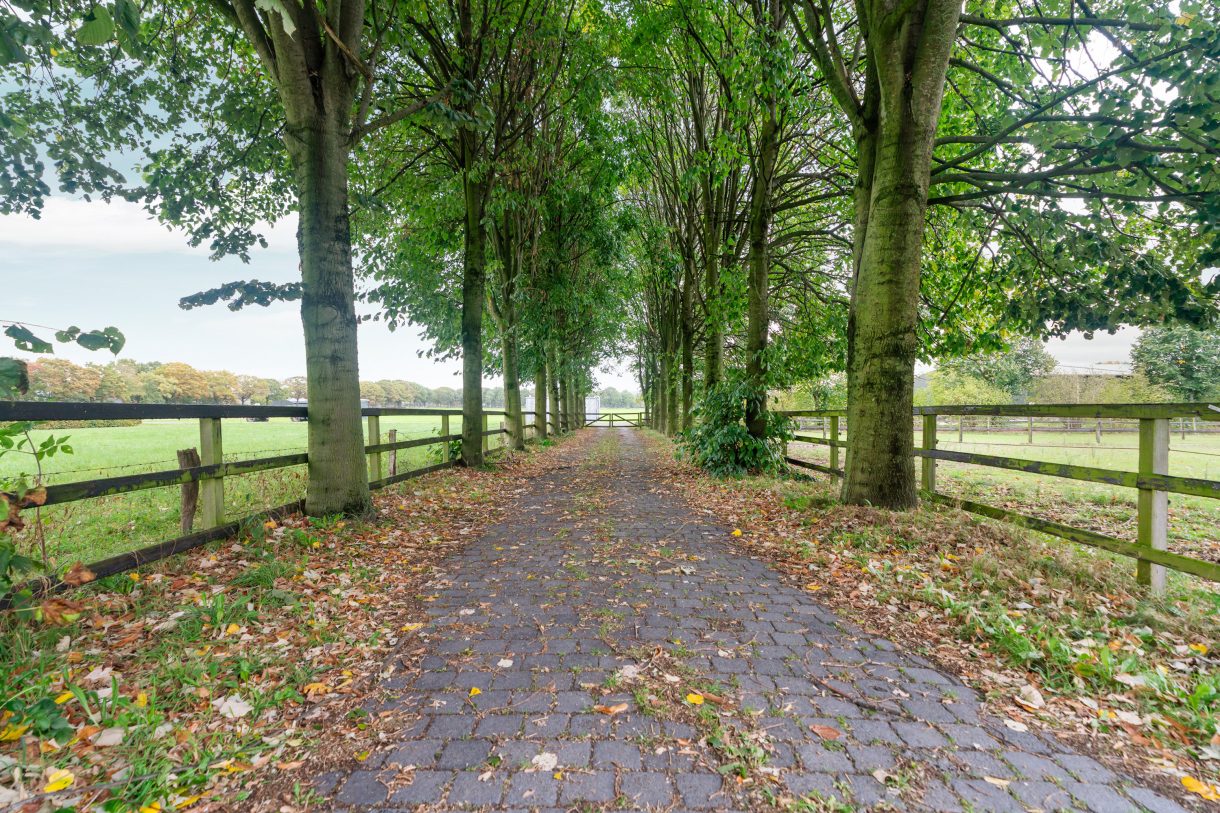 Te koop: Foto Woonhuis aan de Koningin Wilhelminaweg 45 in Groesbeek
