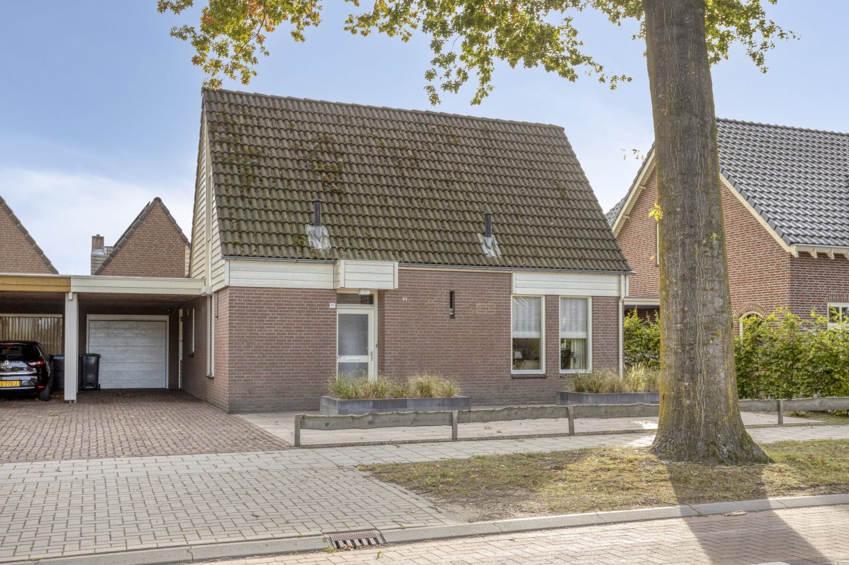 Te koop: Foto Woonhuis aan de Oudedijk 91 in Odiliapeel