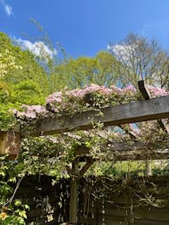 Te koop: Foto Woonhuis aan de Roerdomplaan 111 in Hoogeveen