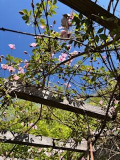 Te koop: Foto Woonhuis aan de Roerdomplaan 111 in Hoogeveen