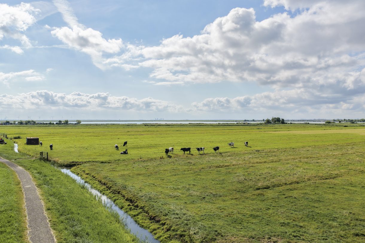 Te koop: Foto Bouwgrond aan de Bloemendalergouw 43A in Amsterdam