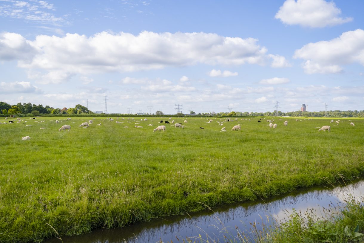 Te koop: Foto Bouwgrond aan de Bloemendalergouw 43A in Amsterdam