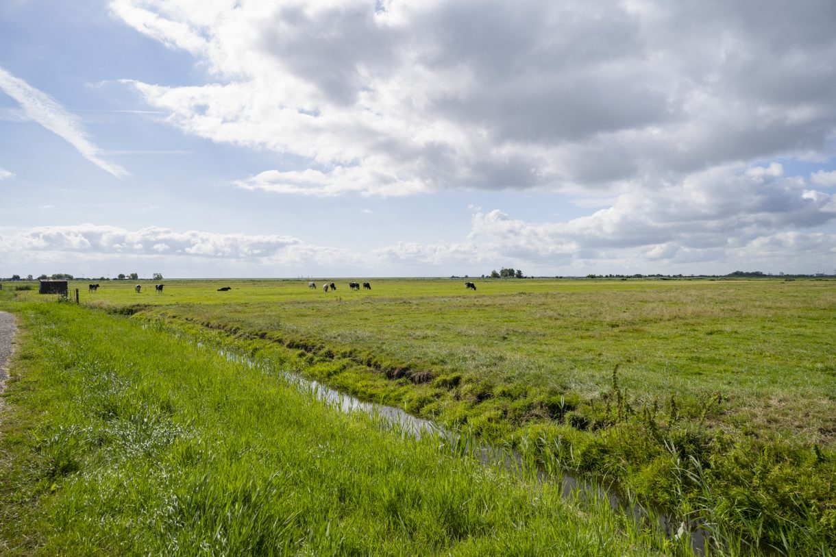 Te koop: Foto Bouwgrond aan de Bloemendalergouw 43A in Amsterdam