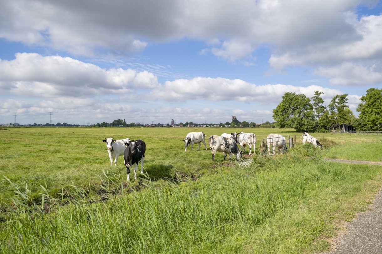 Te koop: Foto Bouwgrond aan de Bloemendalergouw 43A in Amsterdam