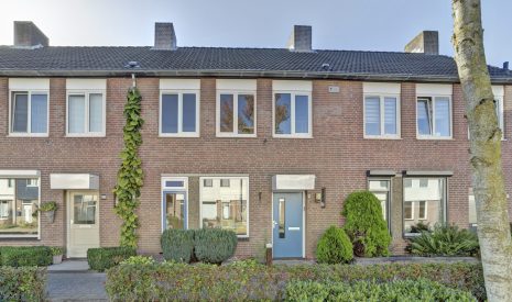 koop  Rijen  Gagelrijs 102 – Hoofdfoto