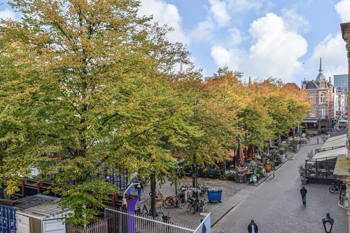 Te koop: Foto Appartement aan de Bagijnestraat 32D in 's-Gravenhage