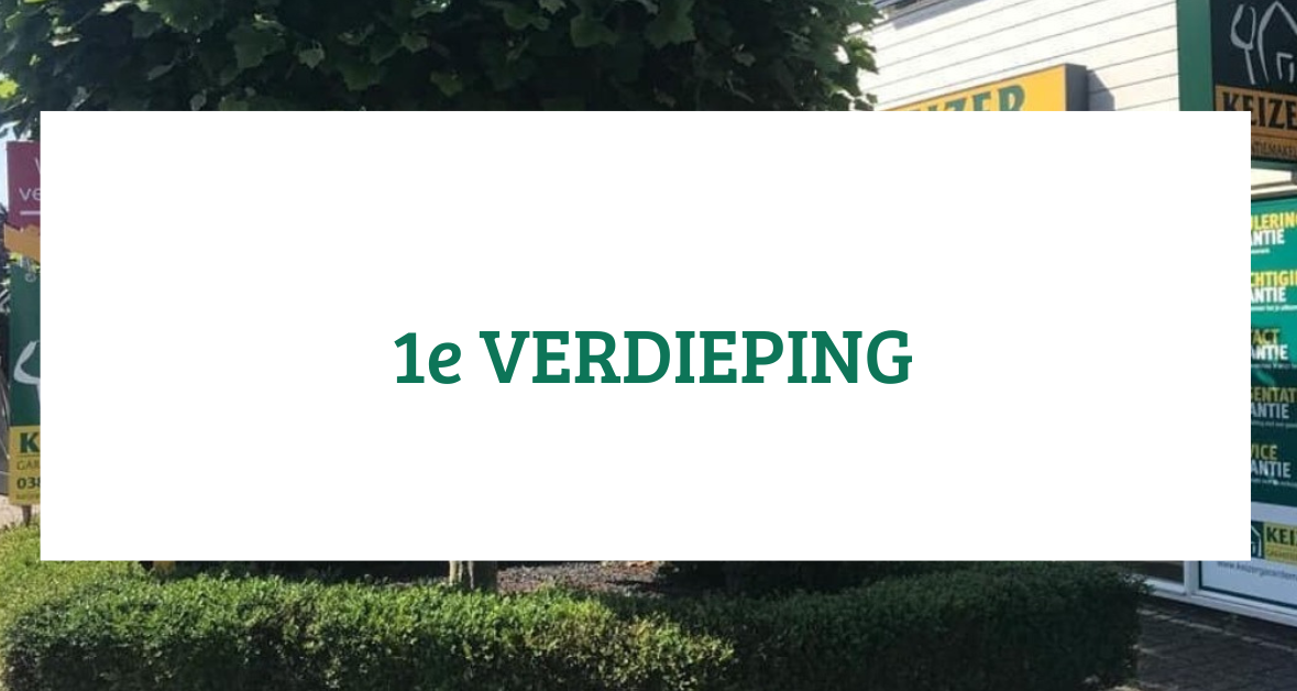 Te koop: Foto Woonhuis aan de Goeman Borgesiuslaan 1 in Zwolle