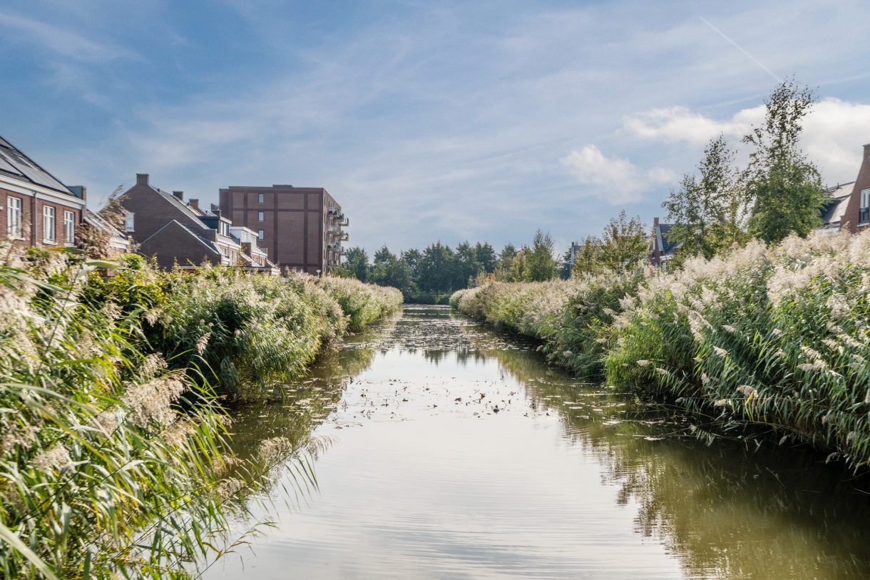 Te koop: Foto Woonhuis aan de Pinksterbloem 5 in Bodegraven