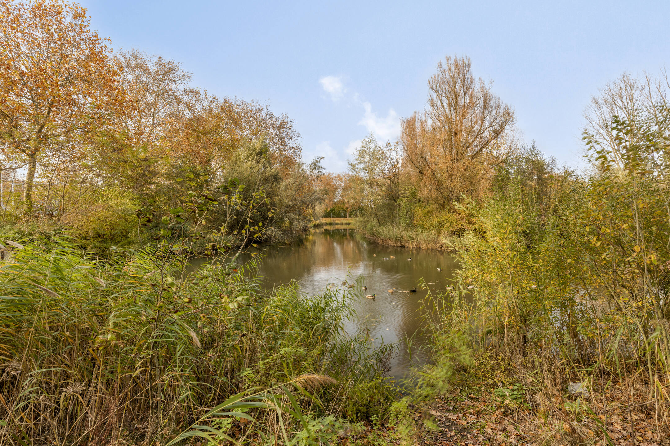 Te koop: Foto Appartement aan de Limburglaan 147 in Eindhoven