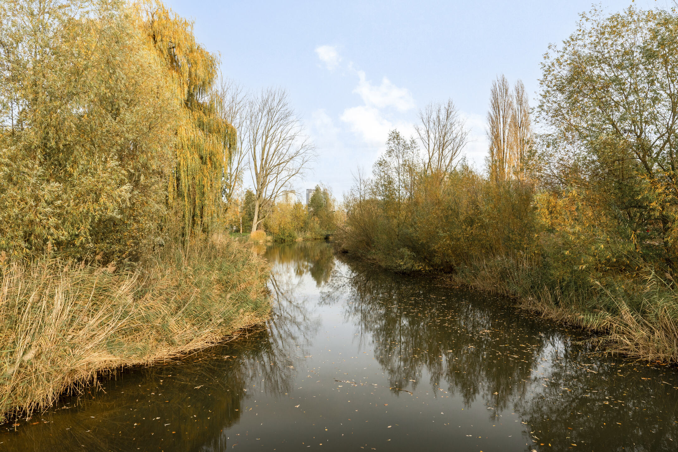 Te koop: Foto Appartement aan de Limburglaan 147 in Eindhoven