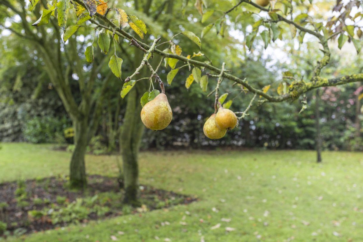 Te koop: Foto Woonhuis aan de Esweg 108 in Beilen