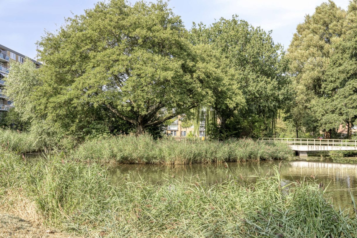 Te koop: Foto Appartement aan de Plutostraat 292 in Alphen aan den Rijn