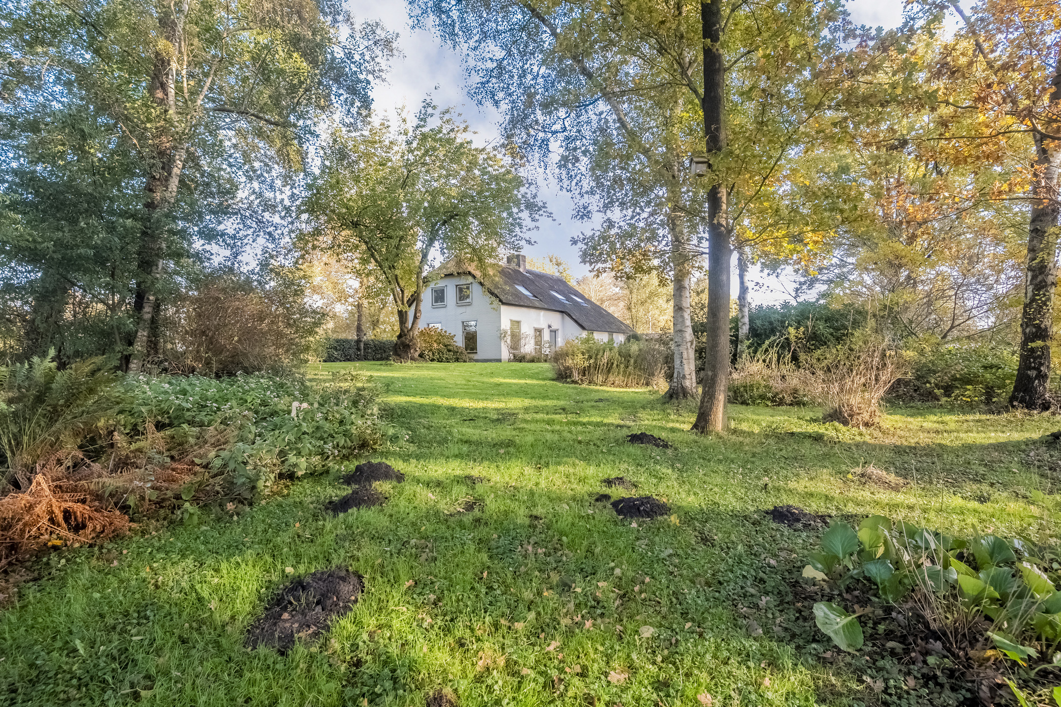 Te koop: Foto Woonhuis aan de Weerwilleweg 34 in Koekange