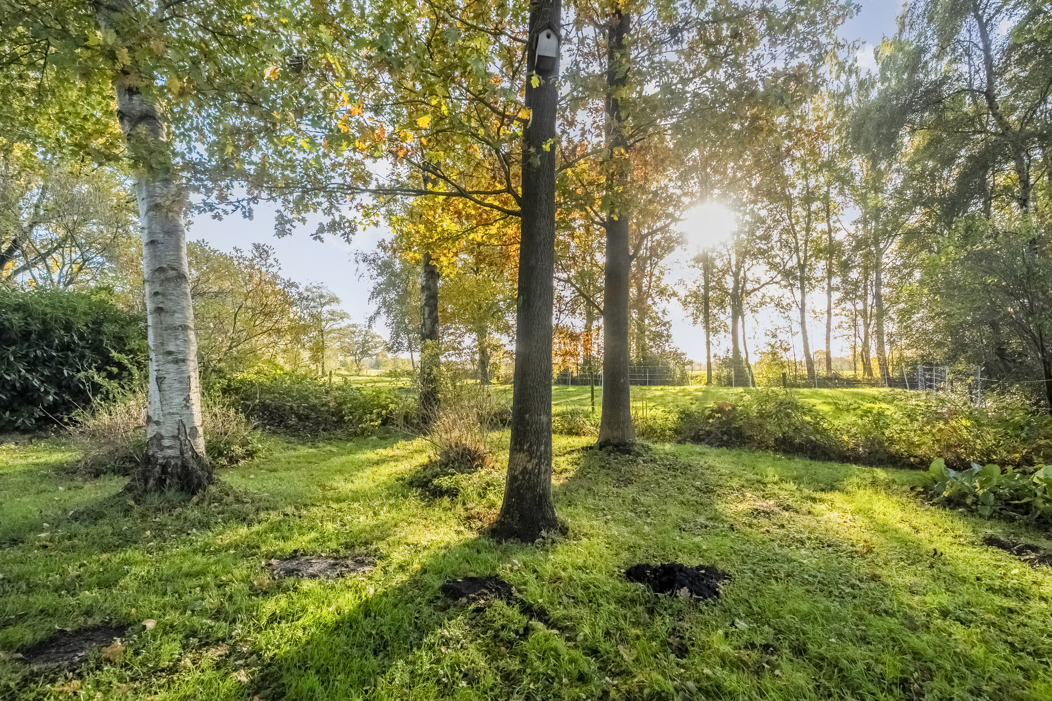 Te koop: Foto Woonhuis aan de Weerwilleweg 34 in Koekange