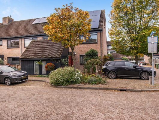 Hoofdfoto van Nieuwegein Orpheuslaan 19