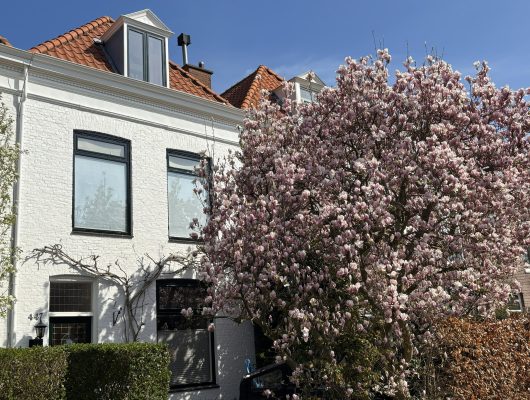 Hoofdfoto van 's-Gravenhage Waldeck Pyrmontkade 447