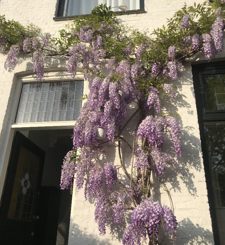 Te koop: Foto Woonhuis aan de Waldeck Pyrmontkade 447 in 's-Gravenhage