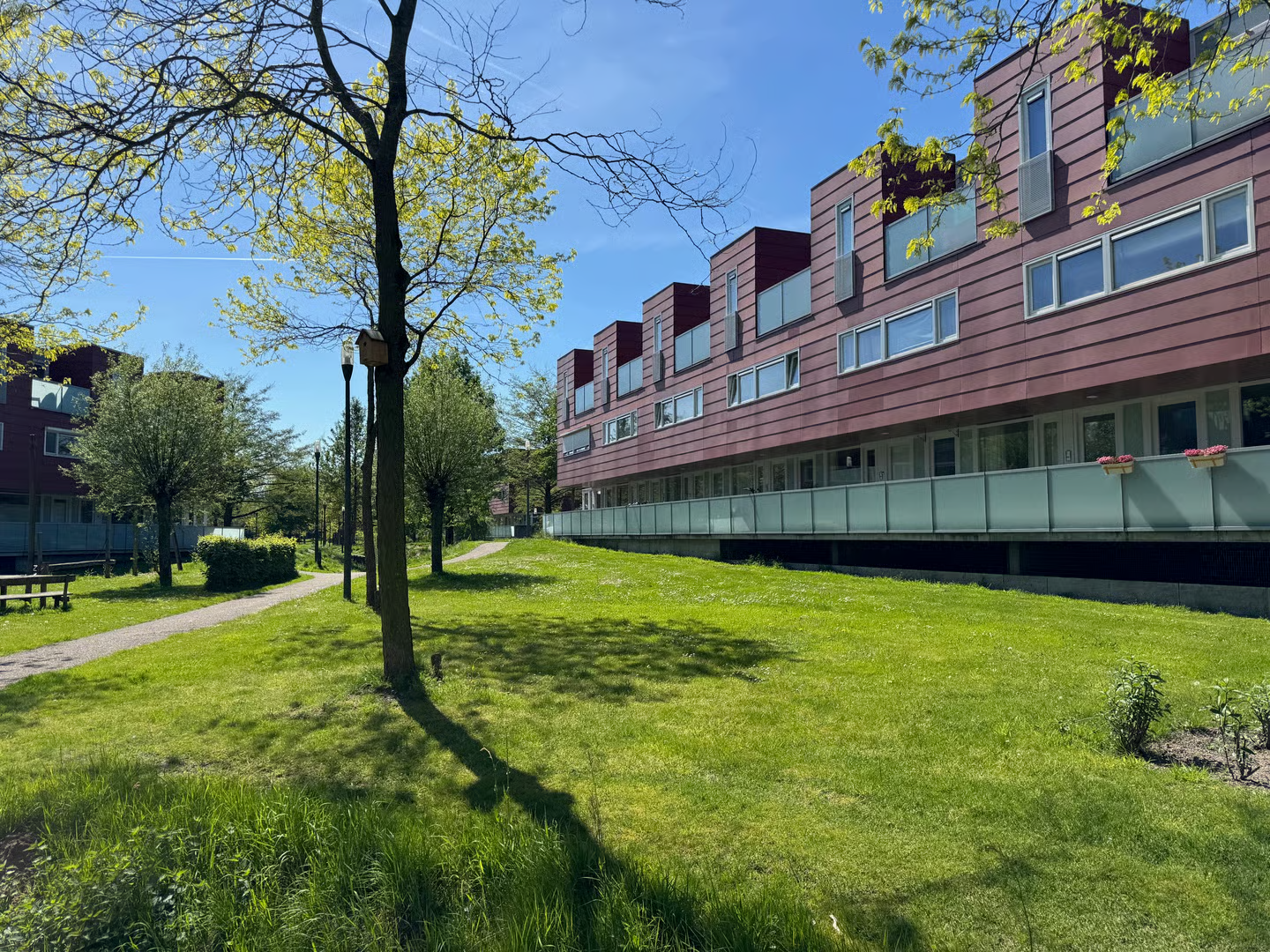 Hoofdfoto van Amersfoort Karper 85