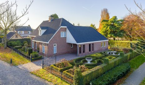 Hoofdfoto van Zeeland Vederdistel 1