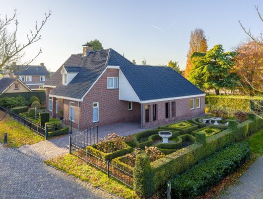 Hoofdfoto van Zeeland Vederdistel 1