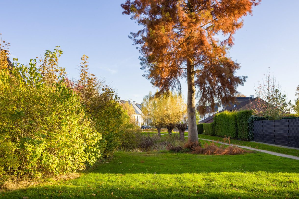 Te koop: Foto Woonhuis aan de Vederdistel 1 in Zeeland