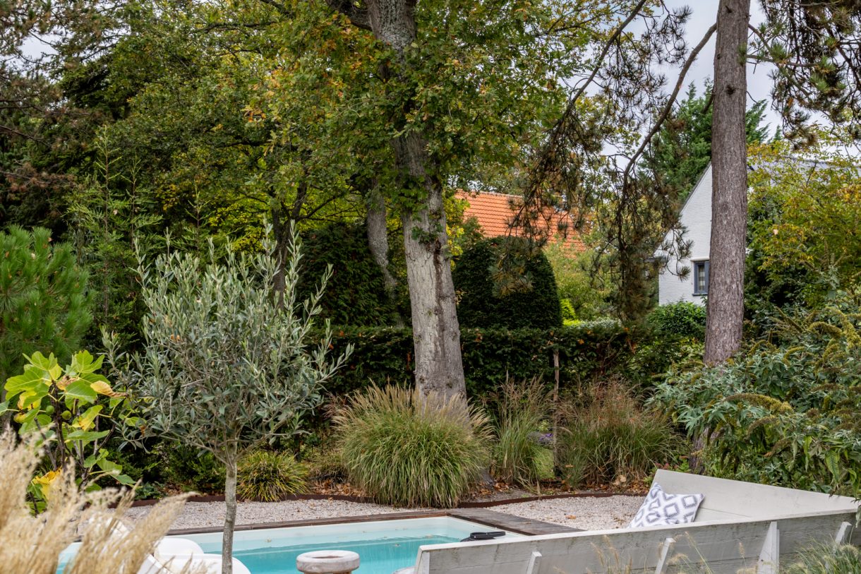 Te koop: Foto Woonhuis aan de Duinwindelaan 1 in Bentveld