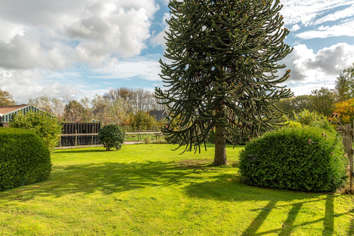 Te koop: Foto Woonhuis aan de Buorren 74 in Houtigehage