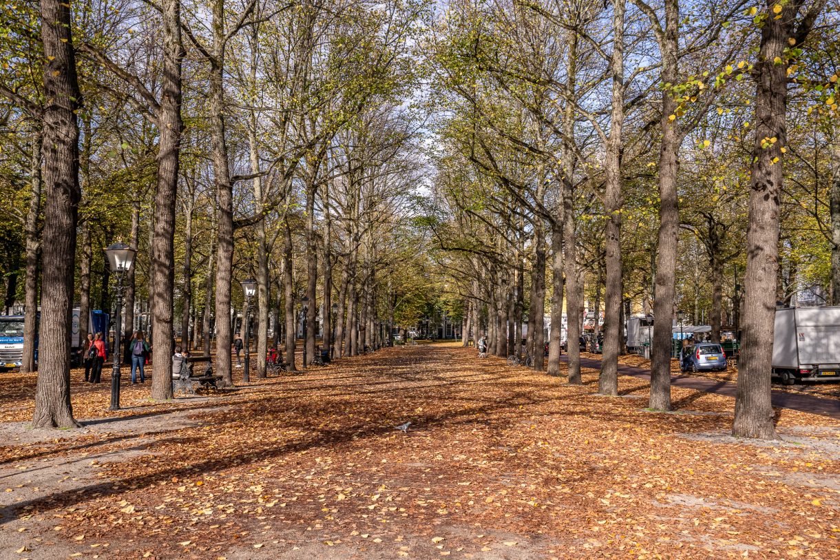 Te koop: Foto Appartement aan de Nieuwe Uitleg 6A in 's-Gravenhage