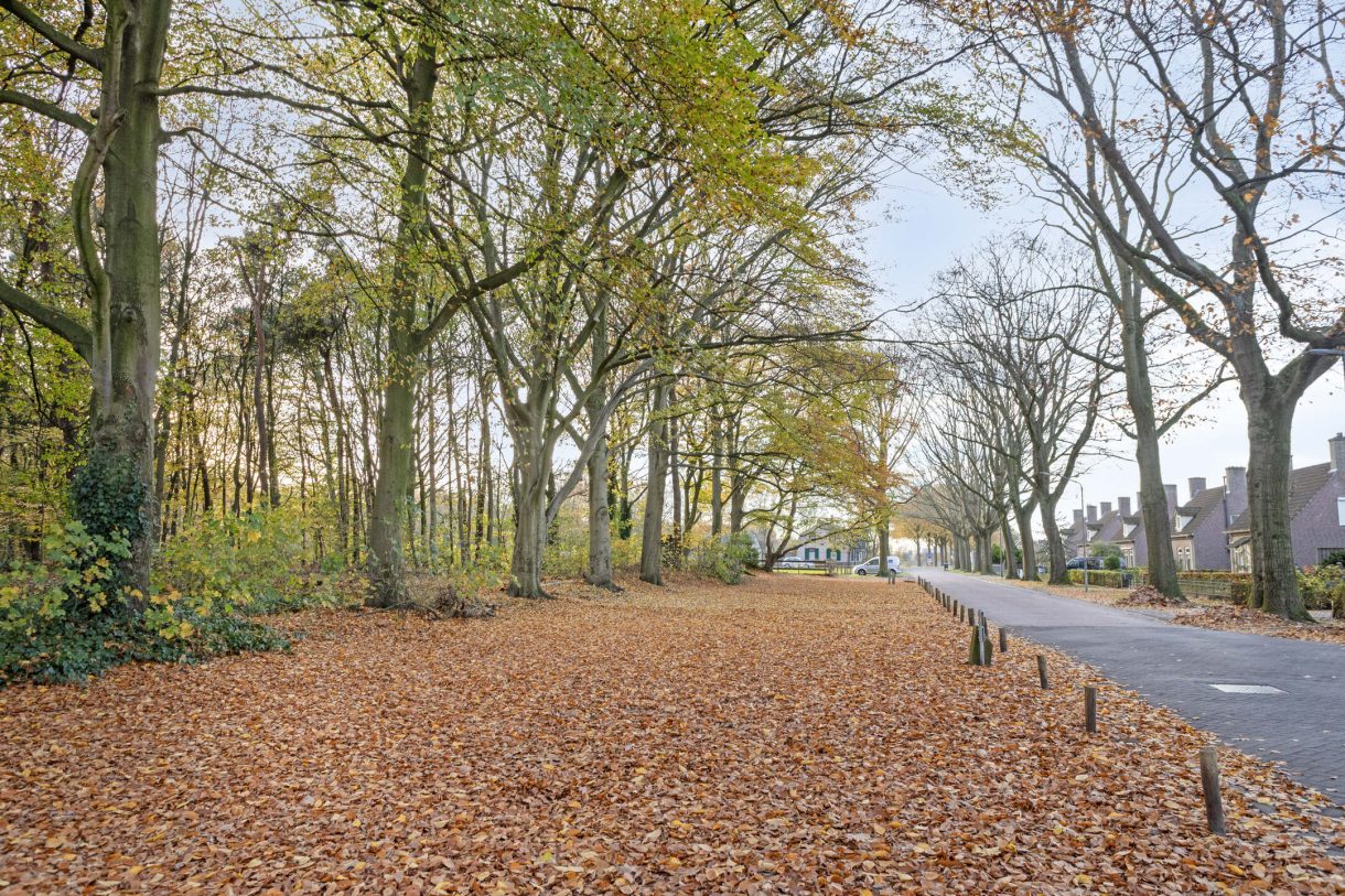 Te koop: Foto Woonhuis aan de Gruttostraat 15 in Odiliapeel