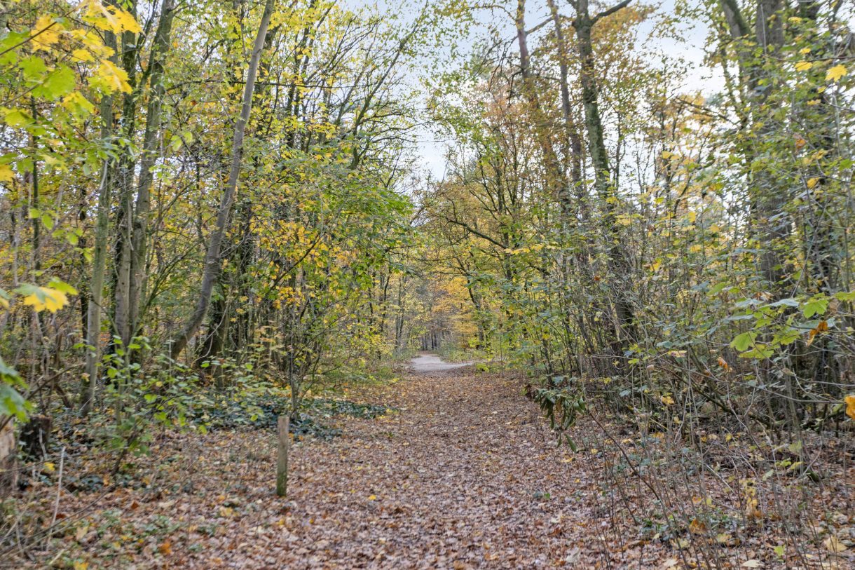 Te koop: Foto Woonhuis aan de Gruttostraat 15 in Odiliapeel
