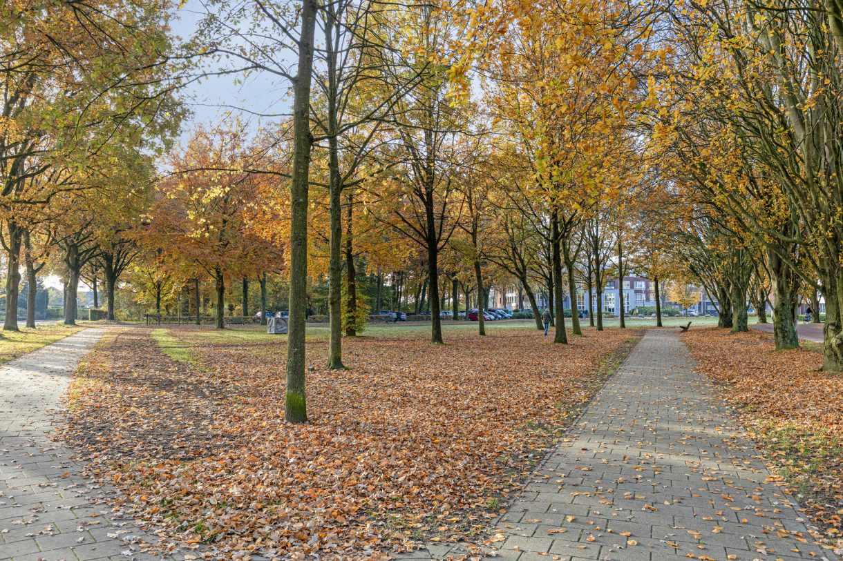 Te koop: Foto Woonhuis aan de Terborgseveld 8 in Silvolde