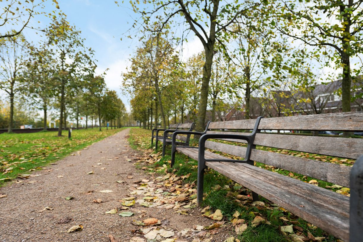 Te koop: Foto Woonhuis aan de Blauwgras 28 in Houten